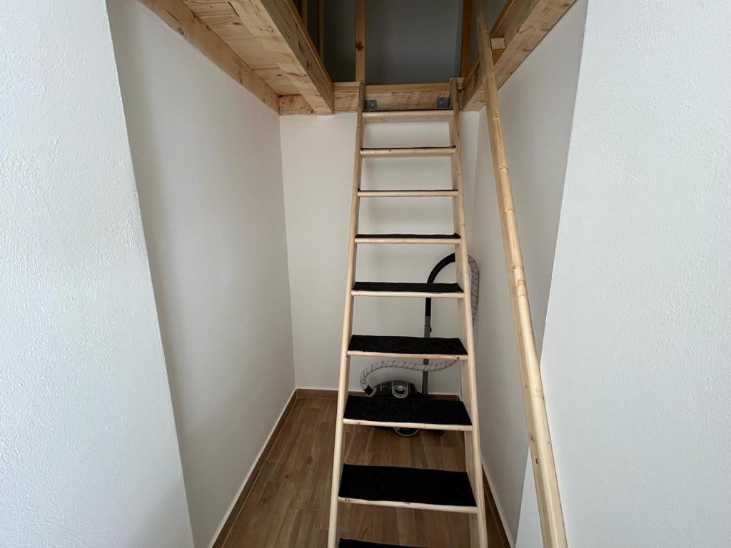 Casaaury & Casasimy Apartment Napoli Ngoại thất bức ảnh